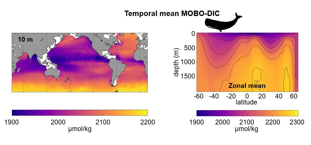 Figure: Temporal mean DIC from MOBO-DIC.