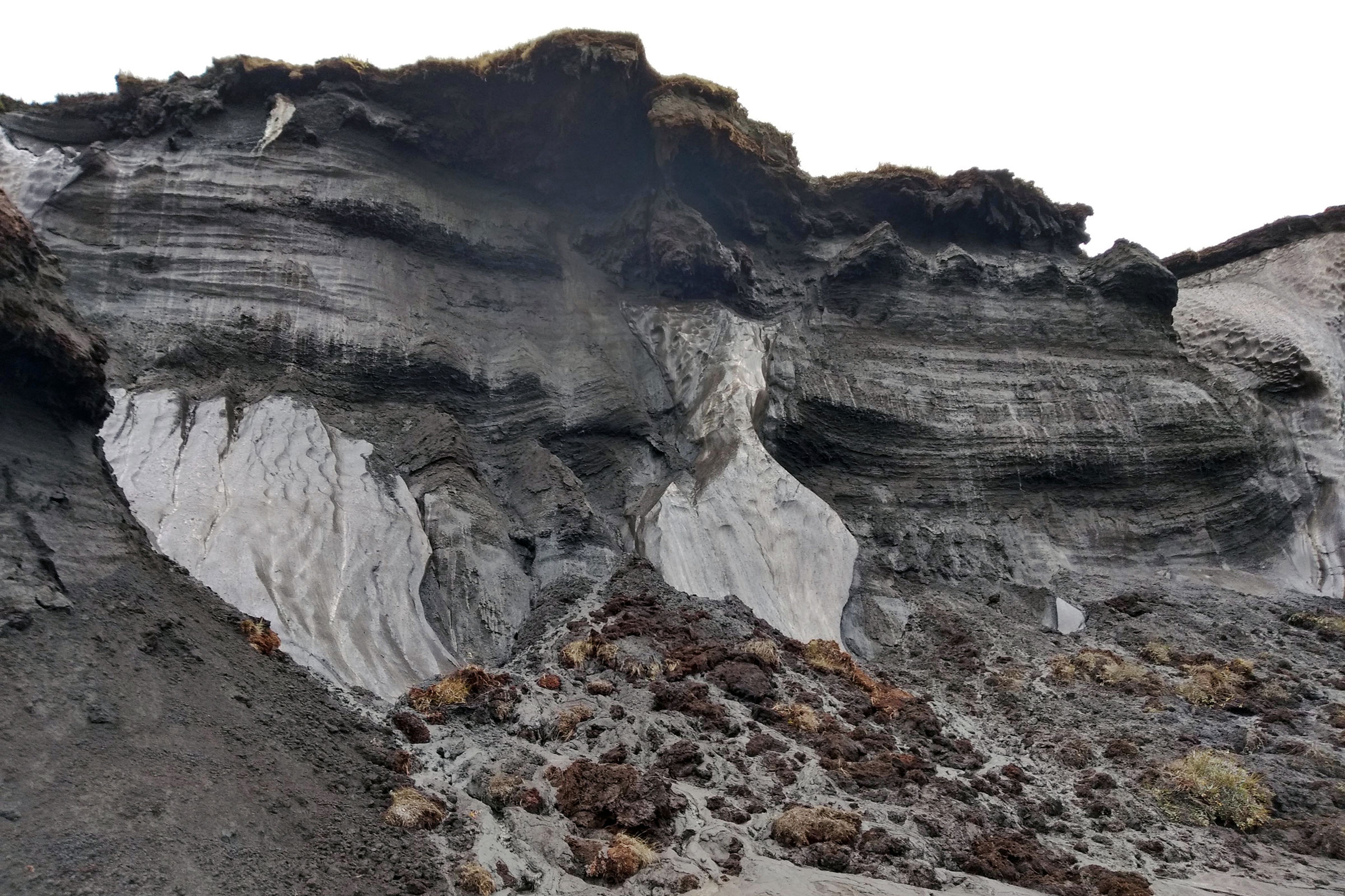 On a steep slope on a coast, the ice is clearly visible in deep layers of soil.