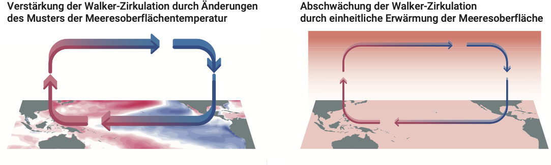 Perspektivische Ansicht von zwei Karten des Pazifischen Ozeans. In der linken Karte ist in rot und blau ein Gefälle der Meeresoberflächentemperatur angezeigt. Darüber befinden sich dicke, im Uhrzeigersinn verlaufende Pfeil emit der Überschrift: Verstärkung der Walker-Zirkulation durch Änderungen im Muster der Meeresoberflächentemperatur. Bei der rechten Karte ist die gesamte Fläche rötlich eingefärbt, die im Uhrzeigersinn verlaufenden Pfeile sind dünner und die Überschrift lautet: Abschwächung der Walker-Zirkulation durch einheitliche Erwärmung der Meeresoberfläche.