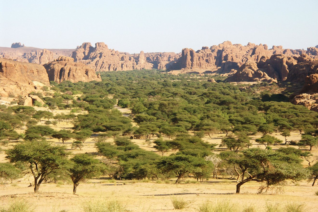 Savannah with mountains of Ennedi Plateau in the background