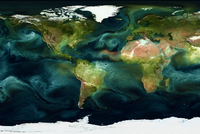 Das Bild zeigt eine Satellitenansicht der Erde, die die Kontinente und Ozeane darstellt. Die Kontinente sind in verschiedenen Farben dargestellt, während die Ozeane in dunkelblauen Tönen gehalten sind. Die Polarregionen sind weiß dargestellt, was auf die Eisdecke hindeutet. Die Bildqualität ist hoch und zeigt detaillierte Strukturen der Erdoberfläche und der Ozeane.