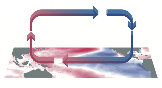 Graphical representation of the strengthening (left) and weakening (right) of the Walker circulation, with English labeling