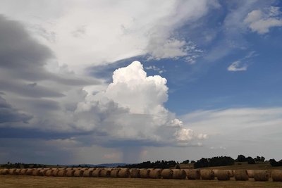 Rain cloud over a harvested grain field