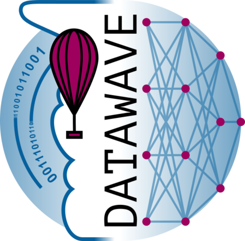 DataWave Logo