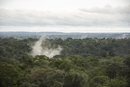 Ein Bild des Amazonas-Regenwaldes. Die untere Hälfte ist komplett von grünen Baumkronen bedeckt, darüber liegt eine dichte Wolkendecke. Eine Wolke steigt aus der Blätterdecke auf.