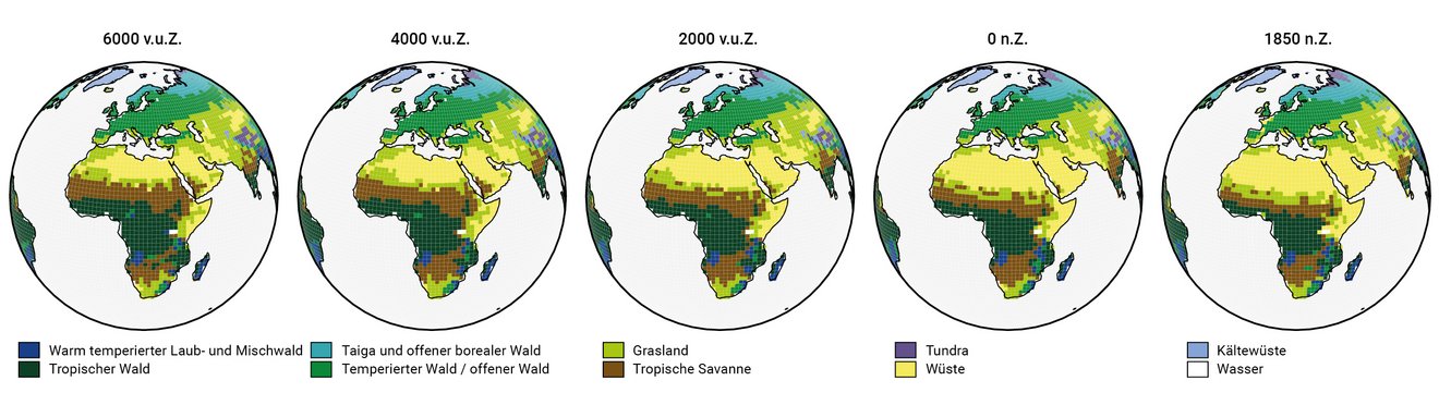 Globalen Vegetationsmuster MPI-ESM Modellsimulation der letzten 8000 Jahr