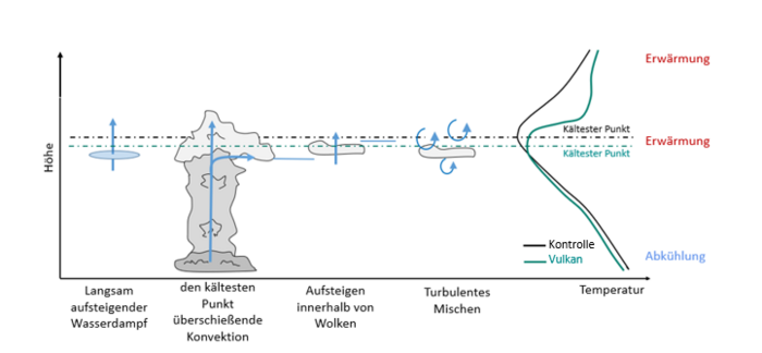Die schematische Graphik stellt vier Prozesse dar, die zum Feuchtetransport in die Stratosphäre beitragen. Darüber hinaus sind atmosphärische Temperatureprofile vor und nach einer Vulkaneruption abgebildet.  Der erste dargestellte Transportweg ist als "langsam aufsteigender Wasserdampf" gekennzeichnet, visulisiert mit einer blauen Scheibe und einem aufwärts zeigenden Pfeil.  Der zweite dargestellte Transportweg ist "den kältesten Punkt überschießende Konvektion". Konvektion, die den "kältesten Punkt" erreicht, kann gefrorene Feuchte aufwärts transportieren. Oberhalb des "kältesten" Punktes sublimiert die gefrorene Feuchte aufgrund der wieder ansteigenden Temperatur und trägt zum Wasserdampfbudget der Stratosphäre bei. Dieser Prozess ist durch einen hochreichenden konvektiven Wolkenturm dargestellt. Pfeile visualisieren den vertikalen Transport sowie horizontales Detrainment unterhalb des "kältesten Punktes".  Der dritte dargestellte Transportweg ist als "Auftieg feuchter Luft innerhalb von Wolken" bezeichnet. Die Wechselwirkung der Strahlung mit der gefrorenen Feuchte führt zu einem lokalen Heizen und daraus resultierenden Auftrieb. Hierfür wird eine kleine Cirruswolke, die auf die Höhenregion des "kältesten Punktes" begrenzt ist, dargestellt. Ein vertikaler Pfeil symbolisiert den Aufwärtstransport.   Der letzte Transportweg wird "turbulentes Mischen" genannt. Kleinskalige Turbulenzen führen zu einer Mischung gefrorener Feuchte mit umliegender Luft. Dieser Prozess ist mit kreisförmigen Pfeilen  und einer kleinen Cirruswolke repräsentiert.   Zuletzt sind zwei atmosphärische Temperaturprofile als Funktion der Höhe dargestellt; in schwarz ohne vulkanische Perturbation (Kontrolle) und in grün mit den Auswirkungen durch die Präsenz von vulkanischem Aerosol (Vulkan). Im ungestörten Fall (schwarze Linie) nimmt die Temperatur von Boden an mit der Höhe ab, bis zu einer als "kältester Punkt" markierten Höhe, ab der die Temperatur wieder ansteigt. In Vulkanfall (grüne Linie) sieht man eine Abkühlung unterhalb des "kältesten Punktes", die durch die Rückstreuung einfallender solarer Strahlung durch das Vulkanaerosol verursacht wird. Die Temperatur des "kältesten Punktes" und die Temperaturen darüber sind in Folge der Absorption von langwelliger und naher Infrarotstrahlung durch das Aerosol erhöht. Als Folge der Heizung durch das Vulkanaerosol verschiebt sich der "kälteste Punktes" nach unten. Dies ist mit horizontalen Linien, die den "kältesten Punkt" im Kontrol- und Vulkanfall markieren, betont.