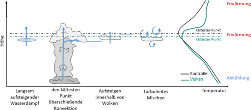 Die schematische Graphik stellt vier Prozesse dar, die zum Feuchtetransport in die Stratosphäre beitragen. Darüber hinaus sind atmosphärische Temperatureprofile vor und nach einer Vulkaneruption abgebildet.  Der erste dargestellte Transportweg ist als "langsam aufsteigender Wasserdampf" gekennzeichnet, visulisiert mit einer blauen Scheibe und einem aufwärts zeigenden Pfeil.  Der zweite dargestellte Transportweg ist "den kältesten Punkt überschießende Konvektion". Konvektion, die den "kältesten Punkt" erreicht, kann gefrorene Feuchte aufwärts transportieren. Oberhalb des "kältesten" Punktes sublimiert die gefrorene Feuchte aufgrund der wieder ansteigenden Temperatur und trägt zum Wasserdampfbudget der Stratosphäre bei. Dieser Prozess ist durch einen hochreichenden konvektiven Wolkenturm dargestellt. Pfeile visualisieren den vertikalen Transport sowie horizontales Detrainment unterhalb des "kältesten Punktes".  Der dritte dargestellte Transportweg ist als "Auftieg feuchter Luft innerhalb von Wolken" bezeichnet. Die Wechselwirkung der Strahlung mit der gefrorenen Feuchte führt zu einem lokalen Heizen und daraus resultierenden Auftrieb. Hierfür wird eine kleine Cirruswolke, die auf die Höhenregion des "kältesten Punktes" begrenzt ist, dargestellt. Ein vertikaler Pfeil symbolisiert den Aufwärtstransport.   Der letzte Transportweg wird "turbulentes Mischen" genannt. Kleinskalige Turbulenzen führen zu einer Mischung gefrorener Feuchte mit umliegender Luft. Dieser Prozess ist mit kreisförmigen Pfeilen  und einer kleinen Cirruswolke repräsentiert.   Zuletzt sind zwei atmosphärische Temperaturprofile als Funktion der Höhe dargestellt; in schwarz ohne vulkanische Perturbation (Kontrolle) und in grün mit den Auswirkungen durch die Präsenz von vulkanischem Aerosol (Vulkan). Im ungestörten Fall (schwarze Linie) nimmt die Temperatur von Boden an mit der Höhe ab, bis zu einer als "kältester Punkt" markierten Höhe, ab der die Temperatur wieder ansteigt. In Vulkanfall (grüne Linie) sieht man eine Abkühlung unterhalb des "kältesten Punktes", die durch die Rückstreuung einfallender solarer Strahlung durch das Vulkanaerosol verursacht wird. Die Temperatur des "kältesten Punktes" und die Temperaturen darüber sind in Folge der Absorption von langwelliger und naher Infrarotstrahlung durch das Aerosol erhöht. Als Folge der Heizung durch das Vulkanaerosol verschiebt sich der "kälteste Punktes" nach unten. Dies ist mit horizontalen Linien, die den "kältesten Punkt" im Kontrol- und Vulkanfall markieren, betont.