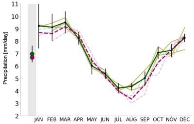 Die englischsprachige Grafik zeigt auf der Vertikalachse den Niederschlag in Millimeter pro Tag, auf der horizontalen Achse die Monate eines Jahres. Grüne und pinke Kurven verlaufen wie ein V mit hohen Niederschlägen im Januar/Februar und Dezember und niedrigen Niederschlägen im Juli/August. Ein wesentlicher Unterschied zwischen den grünen und pinken Kurven ist kaum zu erkennen.