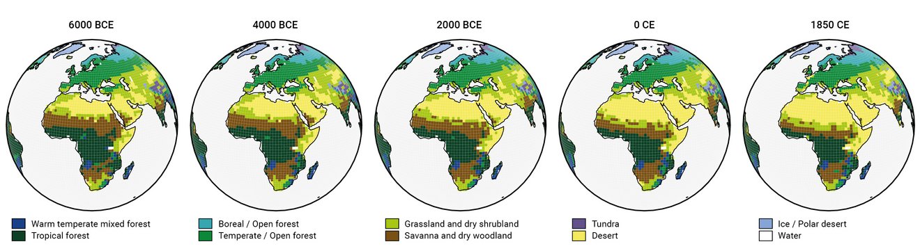 Global vegetation patterns MPI-ESM model simulation of the last 8000 years