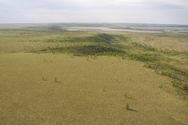 Luftbild einer flachen Landschaft mit wenig Baumbewuchs
