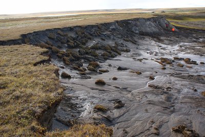 Photograph of a thawing permafrost area in Siberia. The landscape shows a steep erosion edge with slumped soil and peat blocks, as well as flowing mud patterns downhill. In the background, two people in bright clothing are examining the site. The surrounding area is flat and tundra-like, with sparse vegetation.