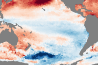 Weltkarte mit grauen Kontinenten, ein blauer bis roter Farbverlauf kennzeichnet Meeresoberflächentemperaturen.