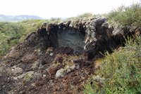 Erosionserscheinung in einer Permafrostlandschaft. Im Vordergrund ist ein Einschnitt im Boden zu sehen, der die darunterliegenden Schichten aus Erde und Felsen freilegt. Vegetation, darunter Moose und kleine Sträucher, bedecken die umliegende Fläche. Im Hintergrund sind sanfte Hügel unter einem bewölkten Himmel sichtbar.