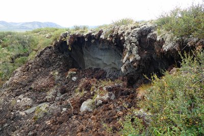 Erosion features in a permafrost landscape. The foreground is dominated by a cutaway of earth exposing layers of soil and rock beneath. Vegetation, including mosses and small shrubs, covers the surrounding area. In the background, rolling hills can be seen under an overcast sky.