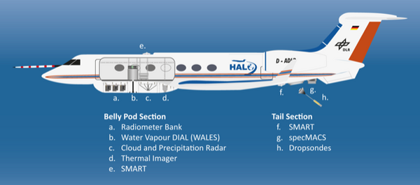 Graphic of HALO and features