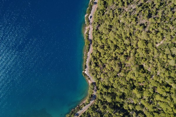 Photograph of a coastline from above. The blue sea and a green forest form an impressive contrast.